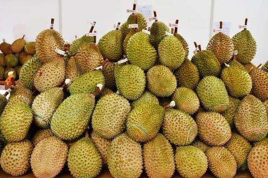 榴蓮進(jìn)口報(bào)關(guān)代理服務(wù)案例，泰國(guó)馬來(lái)西亞榴蓮如何清關(guān)?