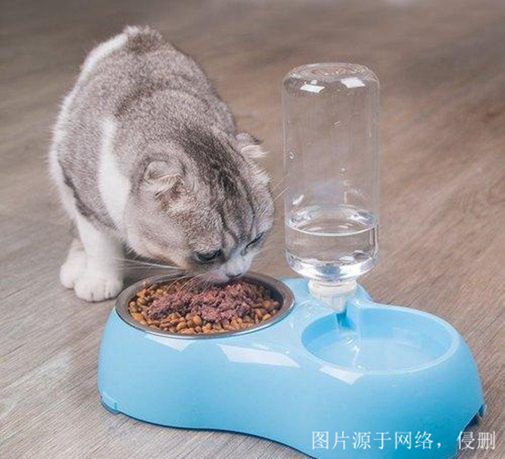 煙臺進(jìn)口尼泊爾寵物用品報關(guān)資料