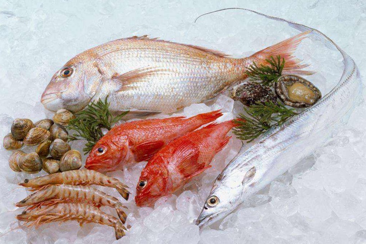 寧波進(jìn)口印尼鯛魚(yú)清關(guān)資料