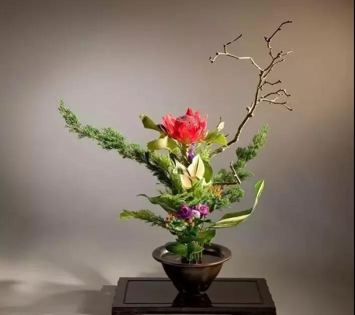 1545618830228055.jpg 植物進(jìn)口報(bào)關(guān)