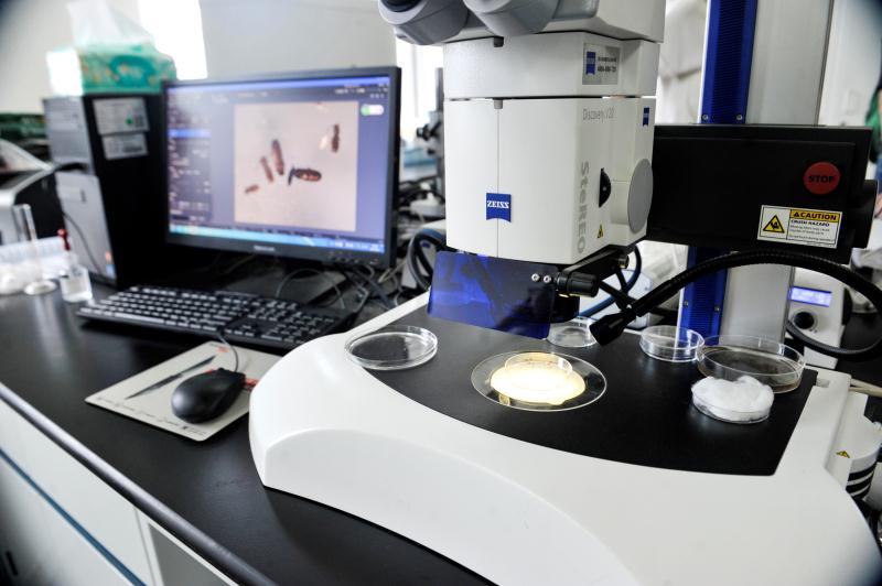 1546827521408846.jpg 檢驗(yàn)檢疫類別