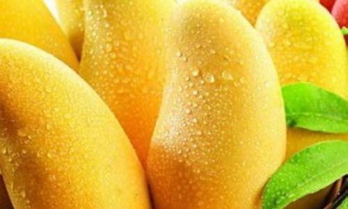 1571103073623975.jpg 泰國(guó)芒果進(jìn)口報(bào)關(guān)