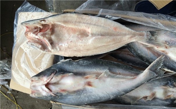 空運海鮮進(jìn)口報關(guān)代理公司 空運海鮮進(jìn)口報關(guān)