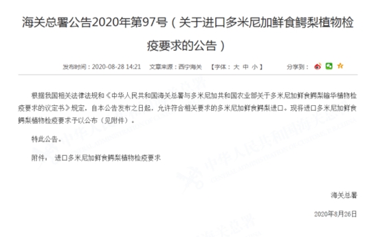 1598942755195767.jpg 進(jìn)口多米尼加鱷梨清關(guān)