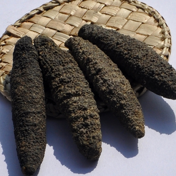 1629973827540135.jpg 進口加拿大刺參清關(guān)上海代理公司_副本.jpg