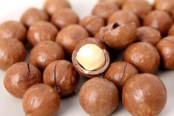 1637058081880408.jpg 上海堅(jiān)果進(jìn)口報(bào)關(guān)代理_副本.jpg