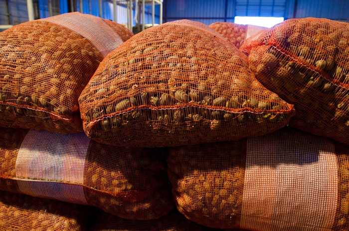 1640052916474022.jpg 碧根果進(jìn)口報(bào)關(guān)一般貿(mào)易流程.jpg