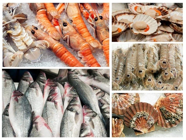 1645787336902250.jpg 湛江海鮮進(jìn)口報(bào)關(guān)公司_副本.jpg