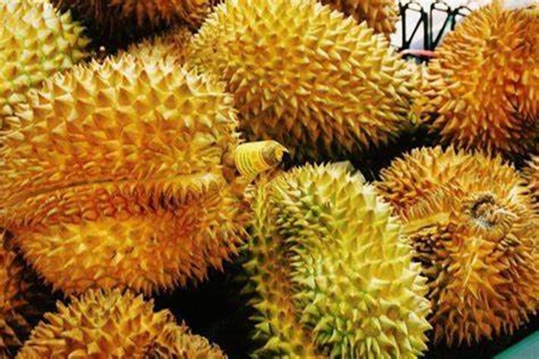 1646817456798811.jpg 機場進(jìn)口泰國榴蓮報關(guān)_副本.jpg