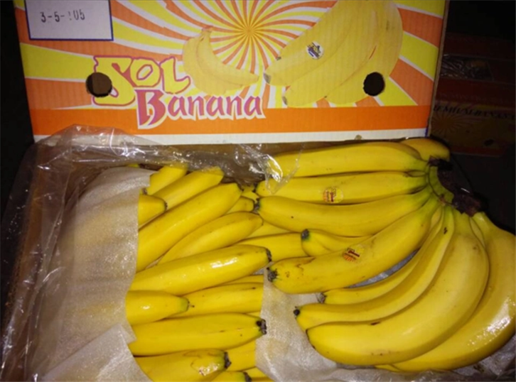 1650450629361611.png 菲律賓進(jìn)口香蕉報(bào)關(guān)代理 (2).png