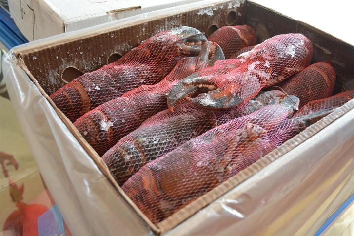 1651224613762989.jpg 進口肯尼亞野生水產(chǎn)品報關(guān).jpg