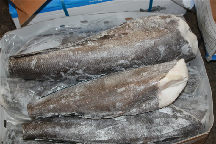 1651835557581090.png 冷凍水產(chǎn)品進(jìn)口報關(guān)公司 (3)_副本.png