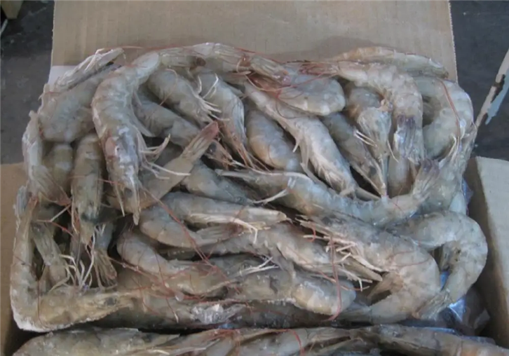 1652089388290804.png 南美冷凍蝦進(jìn)口清關(guān).png