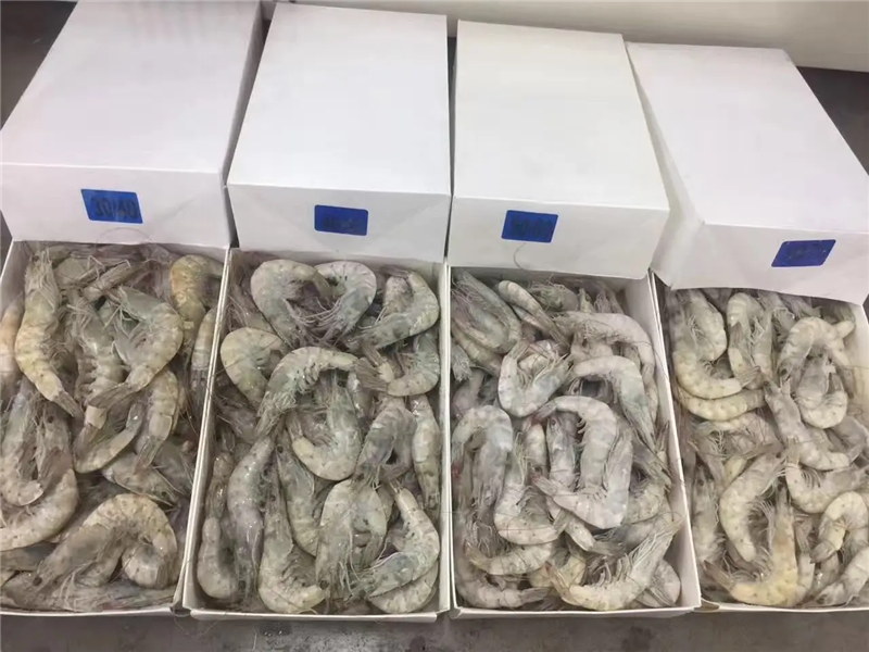 1653038466410863.png 廣州海鮮進口清關(guān).png