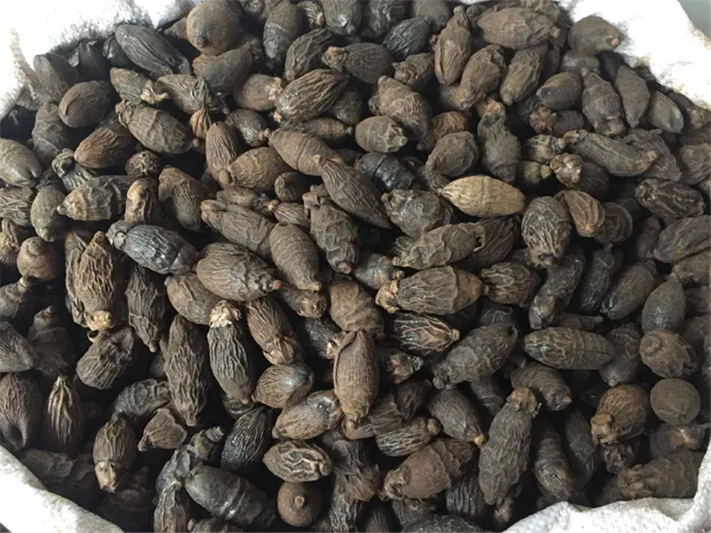 1653375333257621.png 進口馬來西亞干檳榔清關.png