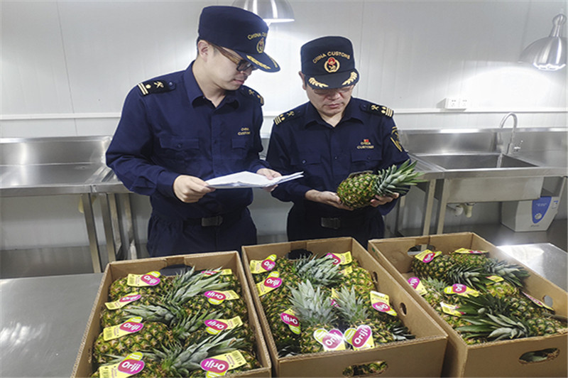 1660815821193250.jpg 進(jìn)口印度尼西亞鮮菠蘿報關(guān).jpg