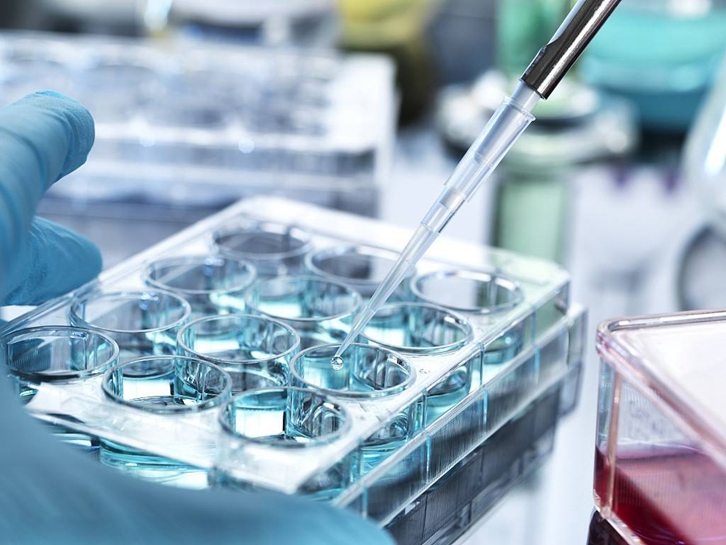 1693986346765563.jpg 青島科研生物細胞進口報關(guān)費用及申報注意事項.jpg