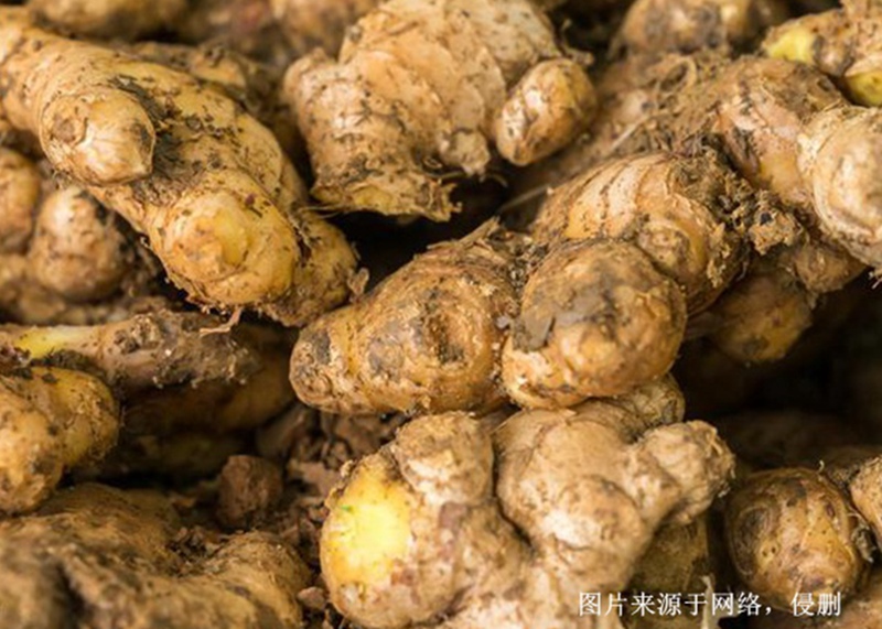 越南生姜進(jìn)口清關(guān)流程 越南生姜進(jìn)口清關(guān)流程