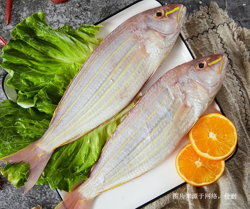 上海進(jìn)口越南金線魚報(bào)關(guān)流程 上海進(jìn)口越南金線魚報(bào)關(guān)流程