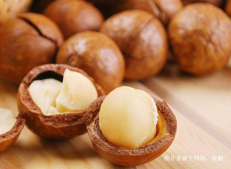 越南夏威夷果仁進(jìn)口報(bào)關(guān)資料 越南夏威夷果仁進(jìn)口報(bào)關(guān)資料